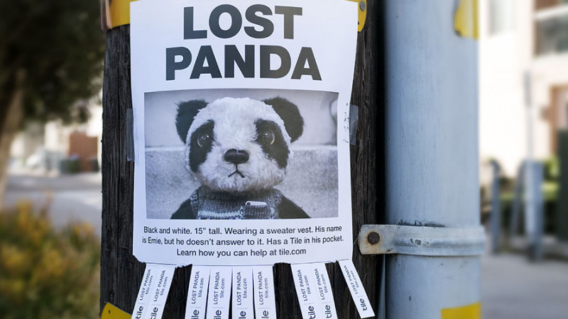 Ursii panda nu-s foarte diferiti de oameni: se pierd in orasele mari si tehnologia ii salveaza