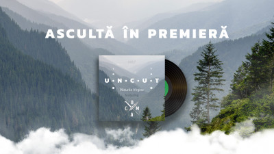 Kinecto Isobar și Greenpeace România lansează uncut.ro