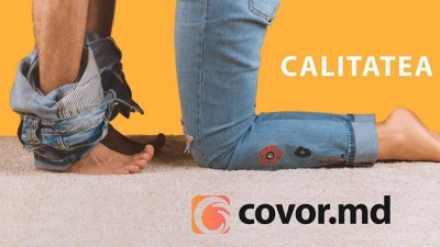 Covoare.md asigura joburi