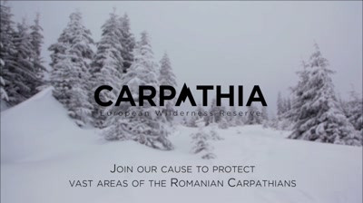 Conservation Carpathia - Oh Christmas Tree 2016