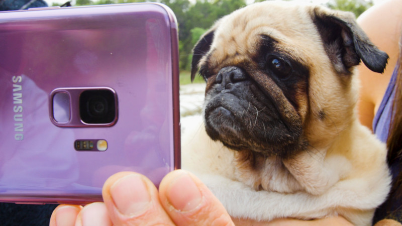 BuzzFeed și The Dodo transformă momentele obișnuite în momente extraordinare cu ajutorul opțiunii Super Slow-mo a telefoanelor Samsung Galaxy S9 și S9+