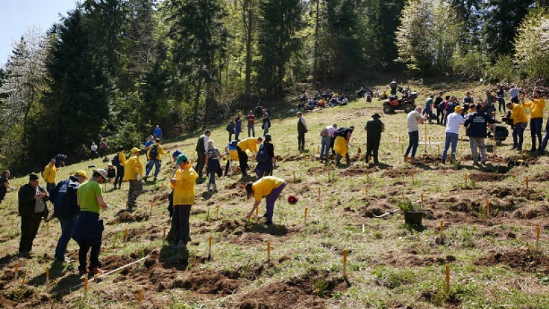Bergenbier a strâns peste două sute de voluntari pentru cea mai amplă acțiune de reîmpădurire din România