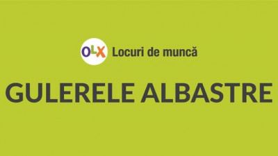 Gulerele albastre, mai pretențioase astăzi Studiu Reveal Marketing Research & OLX
