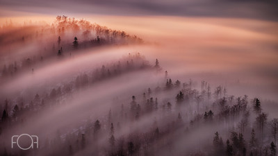 Prima ediție a concursului Fotograful Anului în România
