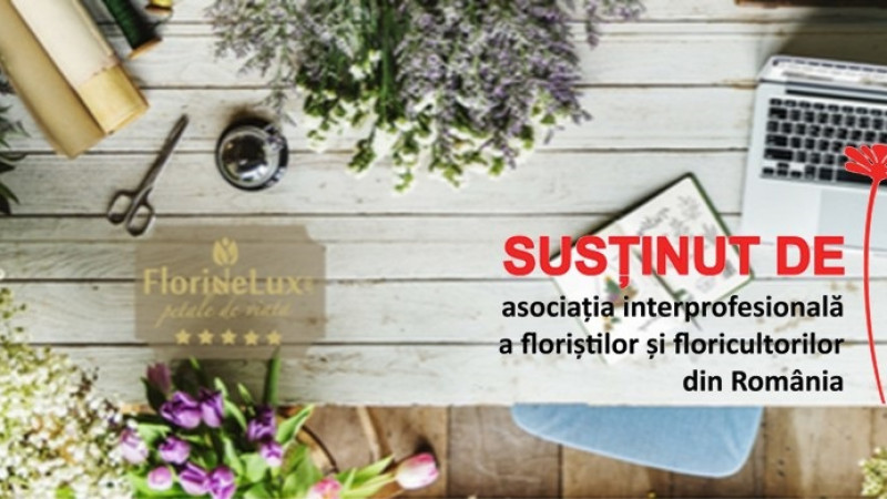 Cel mai complex program de training în domeniul floristicii obține recunoașterea AIFFR