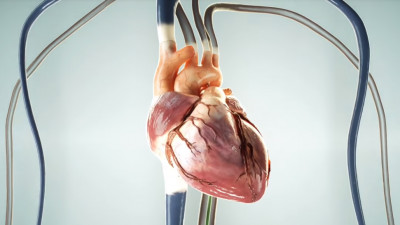 Holograma inimii schimbă modul în care pacienții români vor percepe operațiile cardiologice minim-invazive