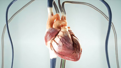 Holograma inimii schimbă modul &icirc;n care pacienții rom&acirc;ni vor percepe operațiile cardiologice minim-invazive
