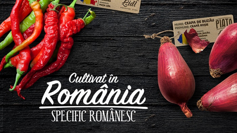Gustul legumelor de altă dată ajunge în comerțul modern prin proiectul „Cultivat în România, specific românesc”