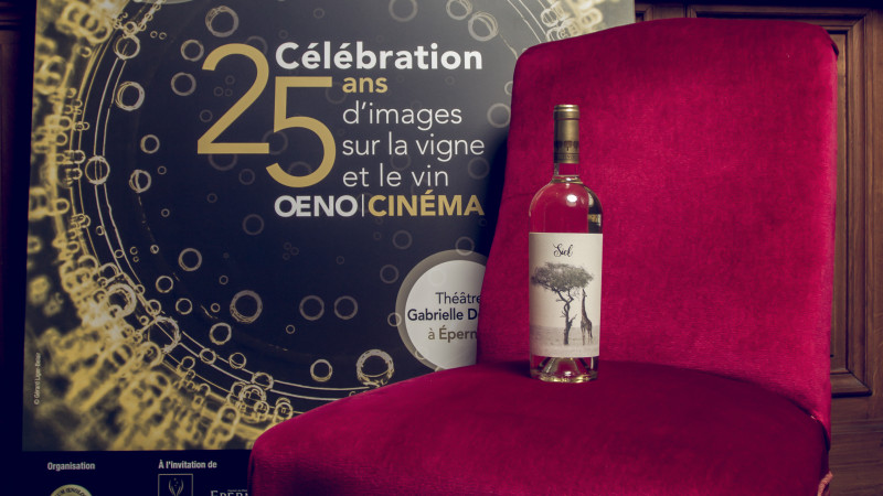 Siel by Tohani Romania câștigă premiul pentru cel mai bun film corporate la Festivalul Internațional de Film dedicat vinului din Champagne, Franța