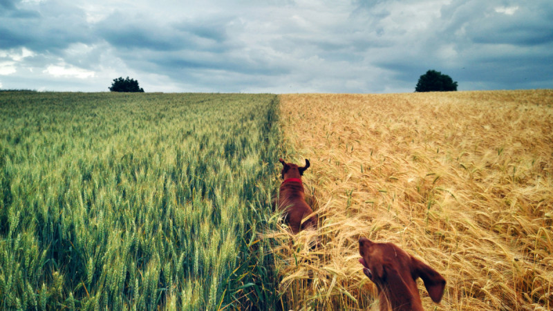 Peste 45.000 de fotografii au fost înscrise în competiția Huawei Next Image Awards