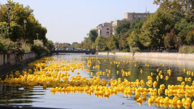 Dăm startul celei de a patra ediție a evenimentului caritabil Cursa de Rățuște