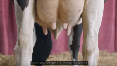 Un spot despre femei și vaci