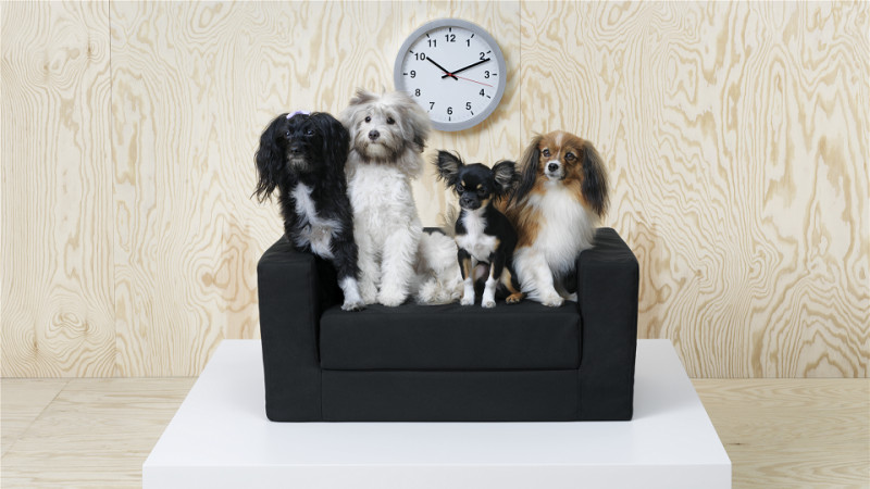IKEA lansează LURVIG, o colecție pentru toți cei care iubesc și cresc animale de companie