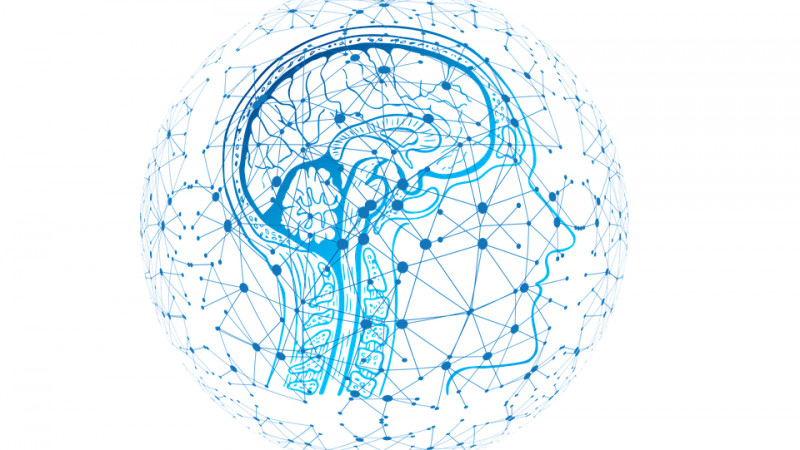 Neuromarketingul reduce riscurile pentru branduri