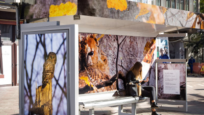 WINK & The City sezonul 2 dezvăluie cum pozează sălbăticia în jungla urbană