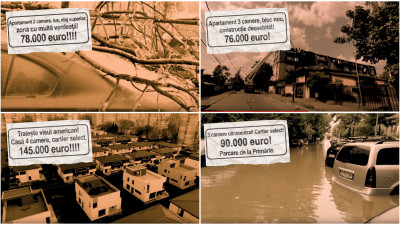 Comunicare reactiva. Sau cum stiri din piata imobiliara devin acte de comunicare pentru Imobiliare.ro. In primetime, la ProTV. Proiect media dezvoltat de Arsenoaiei & Matasel