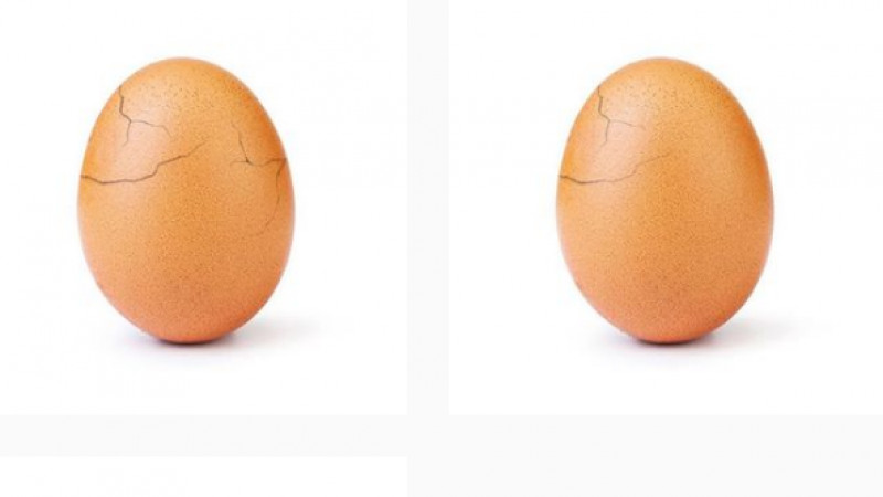 Secretul oului