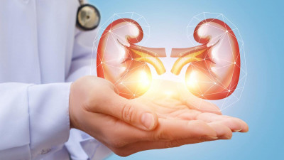 Ziua Mondială a Rinichiului. Imunoterapia poate schimba felul în care cancerul de rinichi este tratat