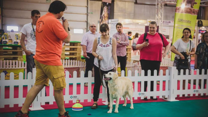 10 evenimente pentru animale de companie au loc în Arena PetExpo