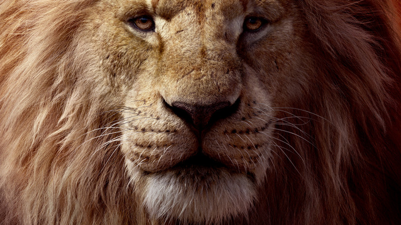 “The Lion King / Regele leu”, evenimentul cinematografic al verii