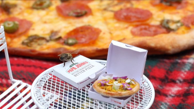 Albinele fac buzz pentru pizza