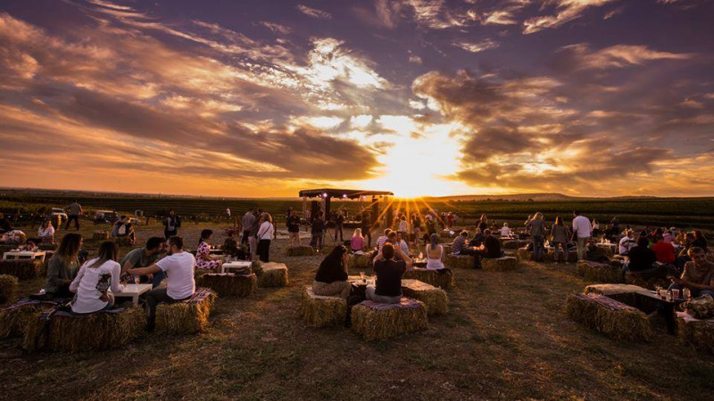 MAUVE Wine Experience III - Festival de muzica si film in via Tohani Romania