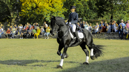 Spectacol ecvestru de top pentru 12.000 de spectatori la Karpatia Horse Show. Despre eleganța de a fi a pasionaților de cai