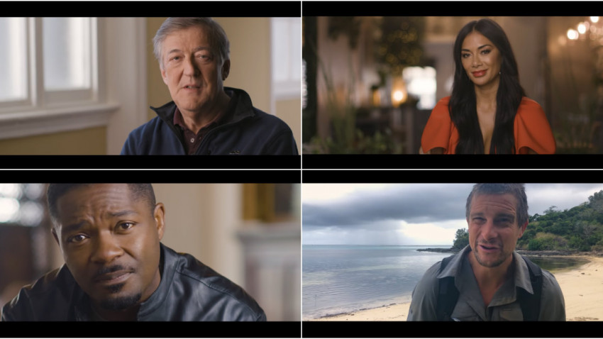 Mustaciosii in lupta anti cancer