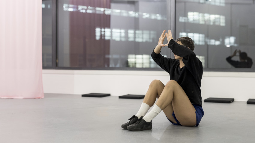 Manuel Pelmuș: Un Lux Pe Care Nu Ni-l Putem Permite (Cumințenia Pământului) la Muzeul de Artă Craiova și la Muzeul Național de Geologie, București