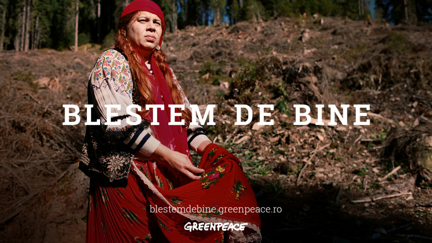 Greenpeace apelează la blestemul unei vrăjitoare pentru a opri distrugerea pădurilor României