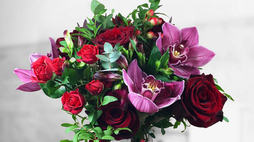 Floria.ro lansează Jungla Urbană, o colecție care te poartă în toate colțurile lumii