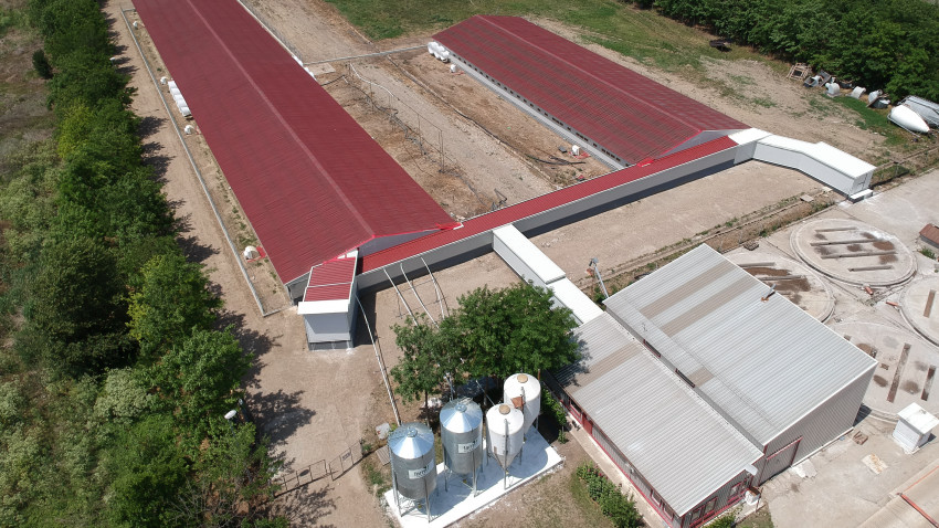 Premium Porc Group ajunge la 10 ferme proprii în urma unei investiții de peste 1,6 milioane euro