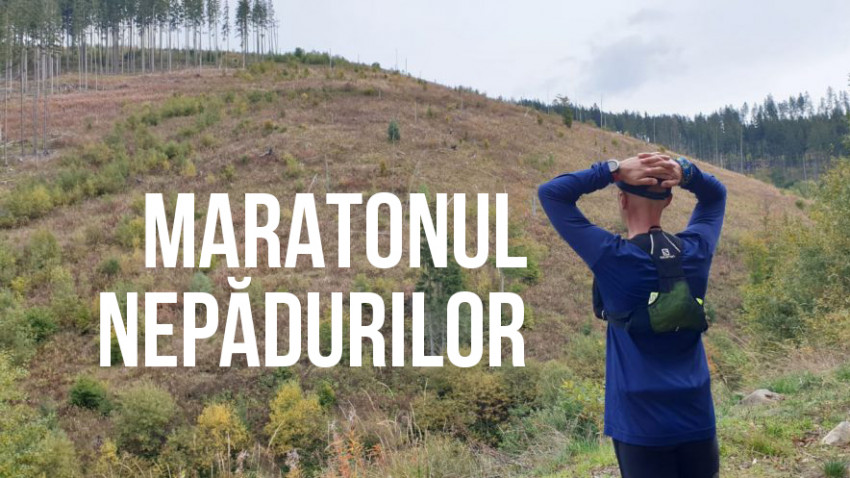 Maratonul NePădurilor: o cursă cu imagini șocante din pădurile României, organizată de Kubis și WWF