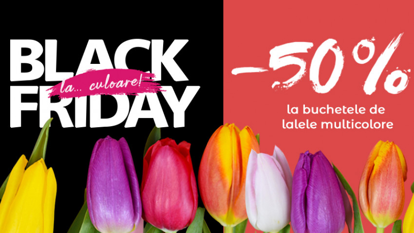 Black Friday cu mai multă culoare: 50% reducere la lalele multicolore pe Floria.ro