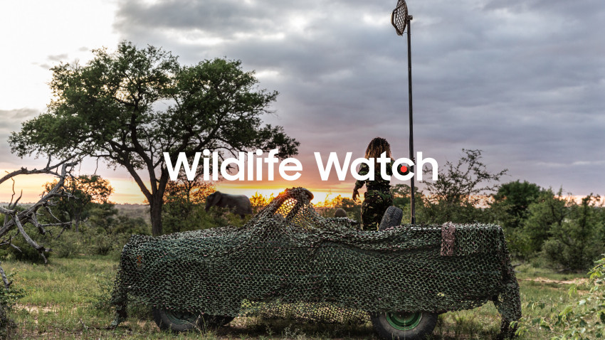 Samsung's Wildlife Watch vă invită să urmăriți animale pe cale de dispariție direct din jungla africană și să deveniți astfel paznici virtuali