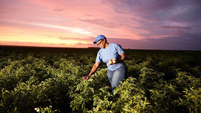 PepsiCo anunță un nou obiectiv pentru 2030: extinderea practicilor de agricultură regenerabilă pe 7 milioane acri (2,8 milioane hectare)