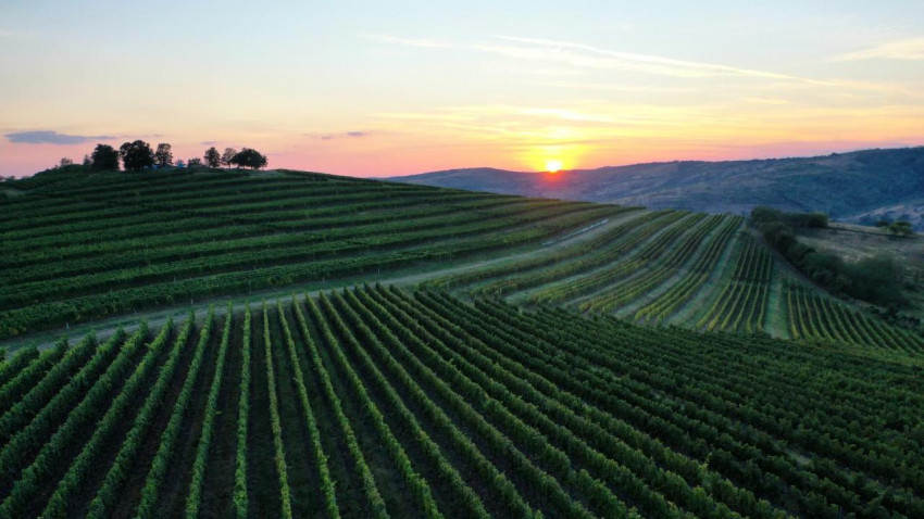 Tohani România își extinde capacitatea de cazare și alocă încă 1 milion de euro pentru un nou concept de turism viticol