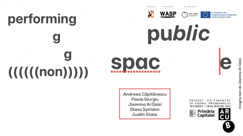 Performing (non) public space