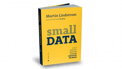 Small DATA: Indicii mărunte care scot la iveală trenduri &icirc;n masă - Martin Lindstrom | Editura Publica, 2016