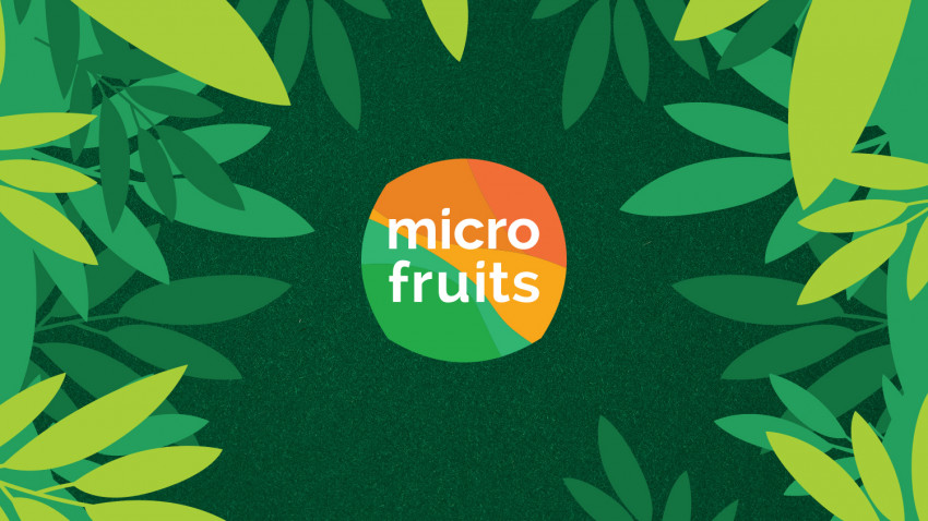 Microfruits - Identitate vizuala