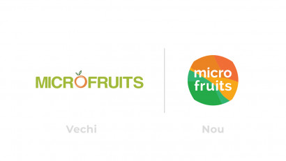 Microfruits - Identitate vizuala