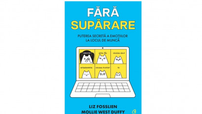 Fără supărare. Puterea secretă a emoțiilor la locul de muncă - Liz Fosslien , Mollie West Duffy | Editura Curtea Veche, 2021