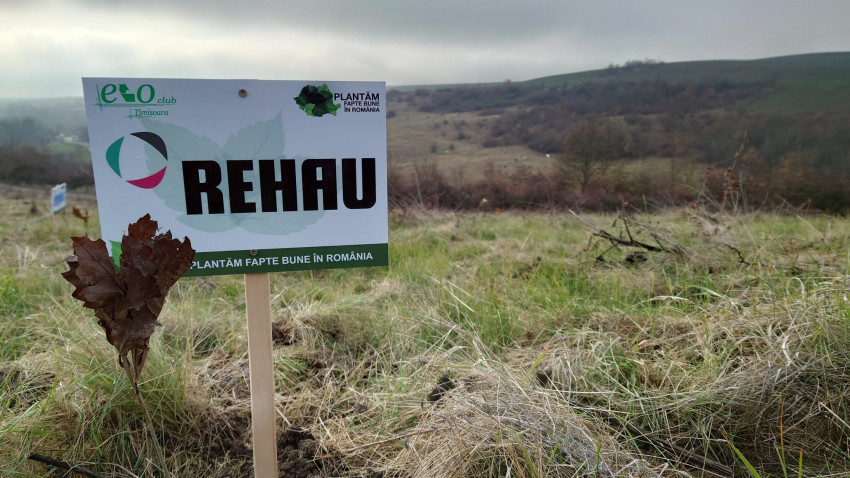 REHAU România și Plantăm fapte bune în România au plantat peste 7.000 de puieți pe un deal în pericol de alunecare din județul Timiș