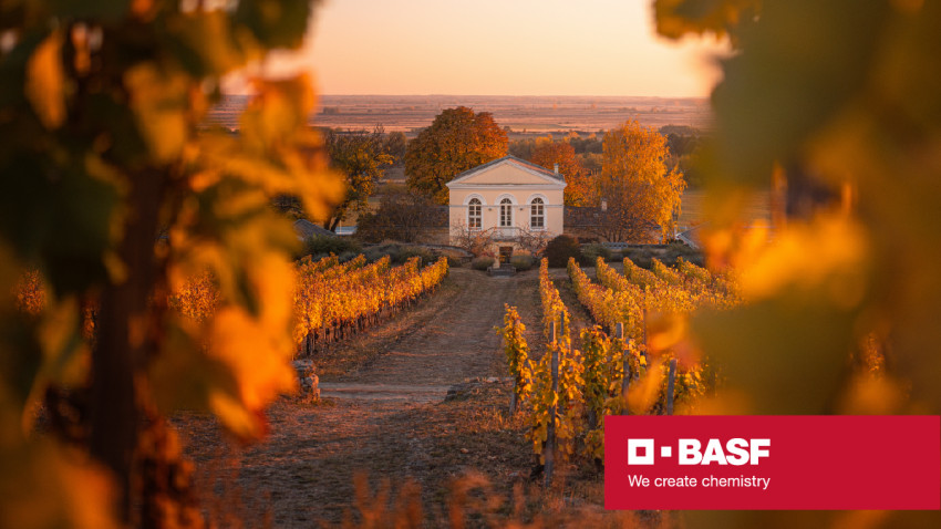 BASF: Vinurile românești trebuie să transmită integral povestea prin gust, design și turism