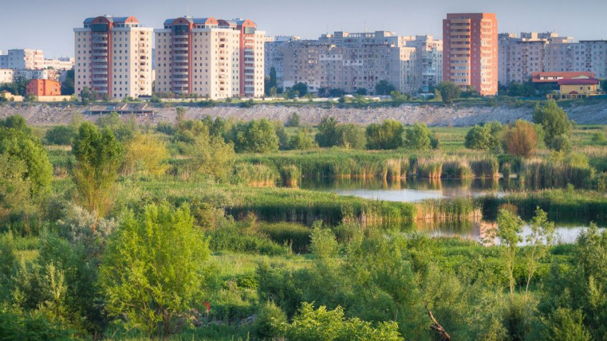 Fundația Comunitară București anunță o nouă rundă de finanțări în Platforma de mediu pentru București: 500.000 de lei pentru proiecte ce țin de zone naturale urbane și spații verzi pentru comunități de cartier