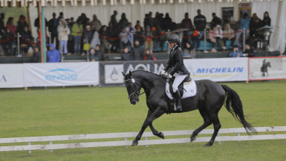 Karpatia Horse Show 2022: șapte premii pentru Rom&acirc;nia, 15 mii de spectatori și o atmosferă chic