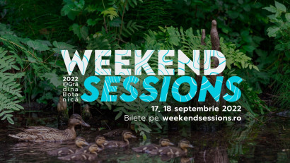 Weekend Sessions - 30 de ilustratori și artiști expun la cel mai cuminte festival din Rom&acirc;nia pe 17 și 18 septembrie