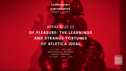 Apparatus 22.&nbsp;Of Pleasure: The Learnings and Strange Fortunes of Atletica Ideal