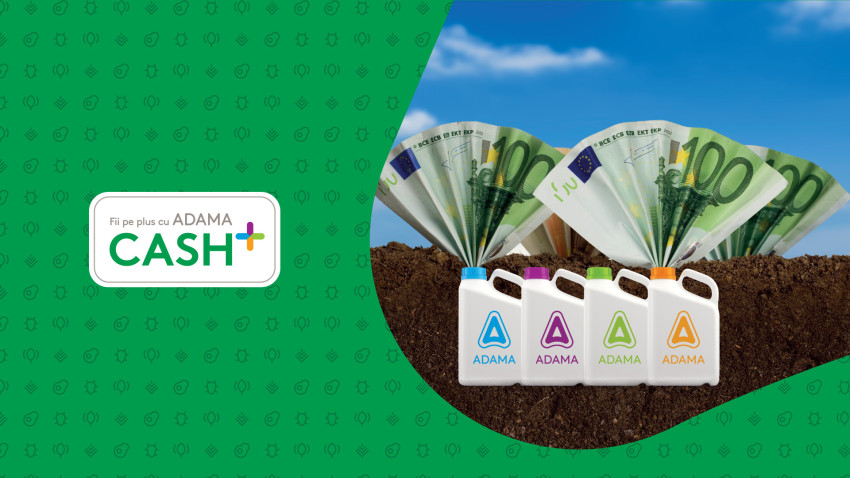 ADAMA România și Create Direct lansează ADAMA Cash Plus, primul program de loializare care integrează tehnologii de artificial intelligence destinat fermierilor din România