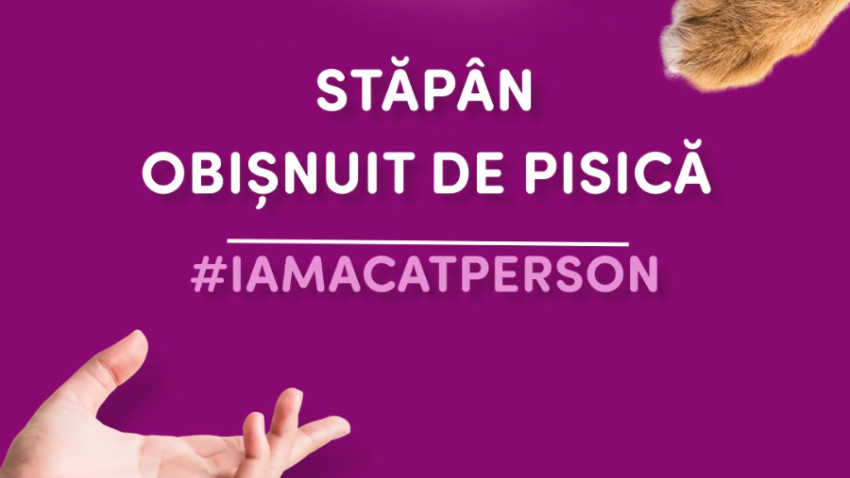 Studiu Whiskas: 71% dintre români cred că viața lor s-a îmbunătățit de când au pisică